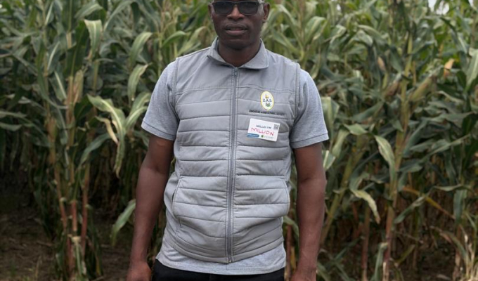 The Intersecting Crises: How Global Conflict and Climate Change Impact Sub-Saharan Africa